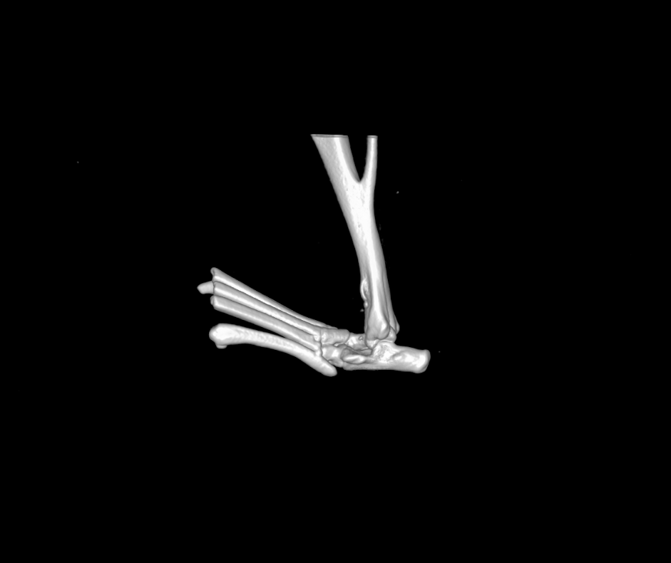 腦/神經(jīng)專題